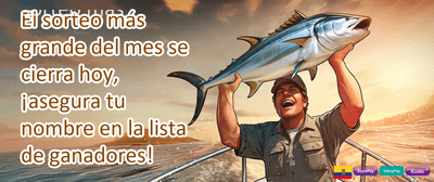 Bono de Recarga Diaria