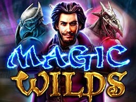 Magic wilds game thumbnail